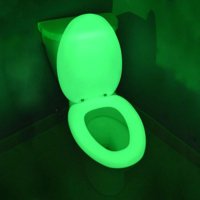 Glow in the dark toilet seat