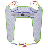 Aspire Deluxe Hygiene Access Sling