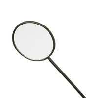 Mobility Scooter - Mirror - Celebrity & Pathrider