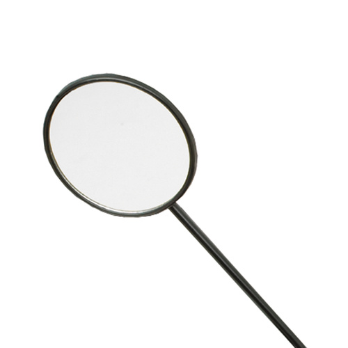 Mobility Scooter - Mirror - Celebrity & Pathrider